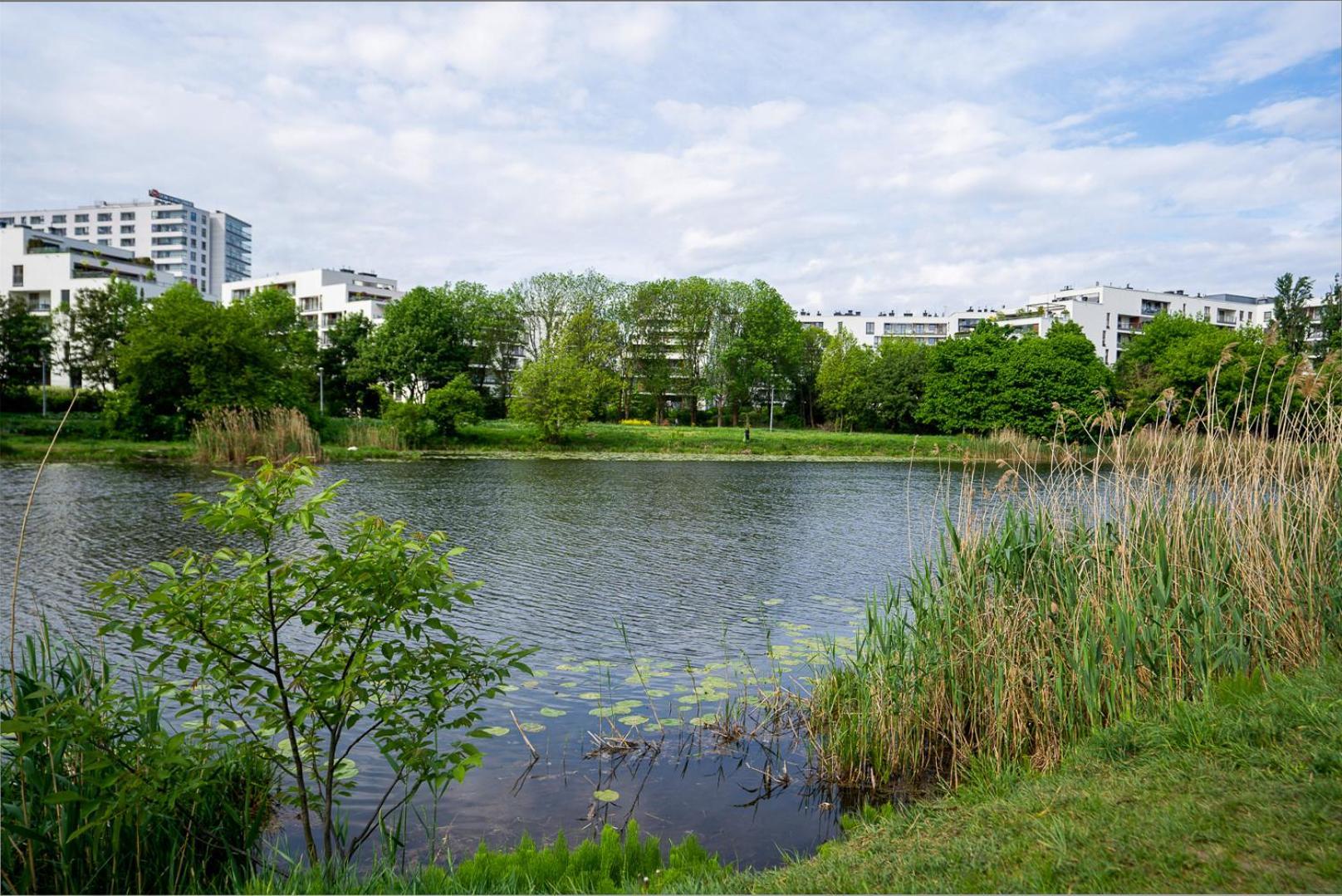Apartament Studio - City View, Parks Nearby By Rentujemy